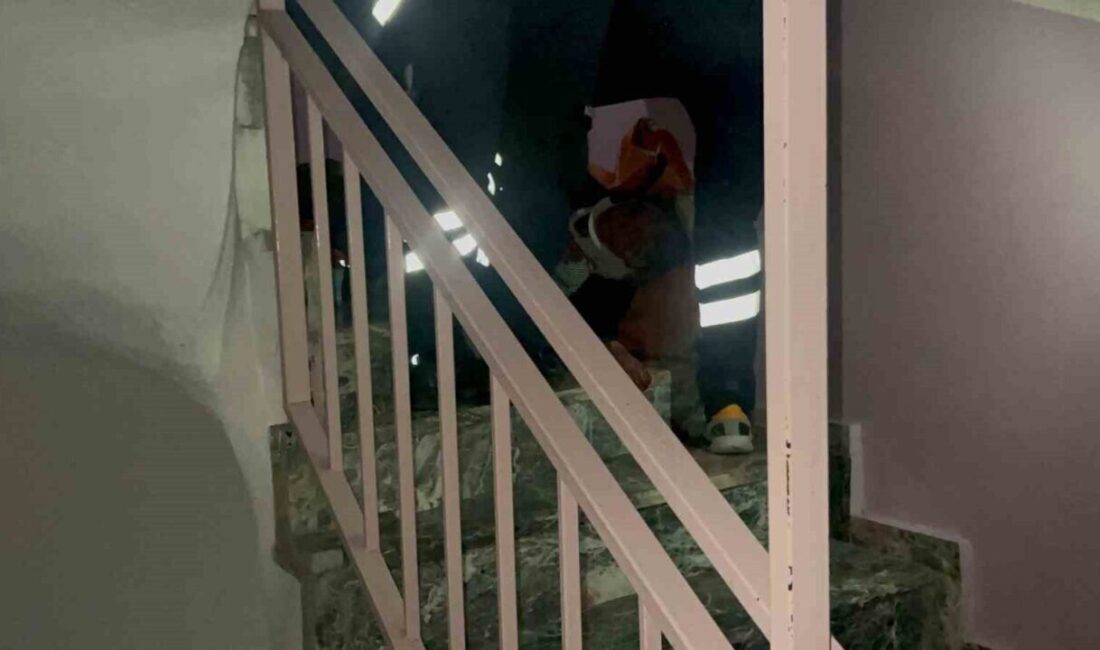 Eskişehir’de 5’inci kattan düşen kadın hastaneye kaldırıldı Eskişehir'de Meltem Apartmanı'nın 5. katında merdivenlerden düşen G.E., 112 Acil
