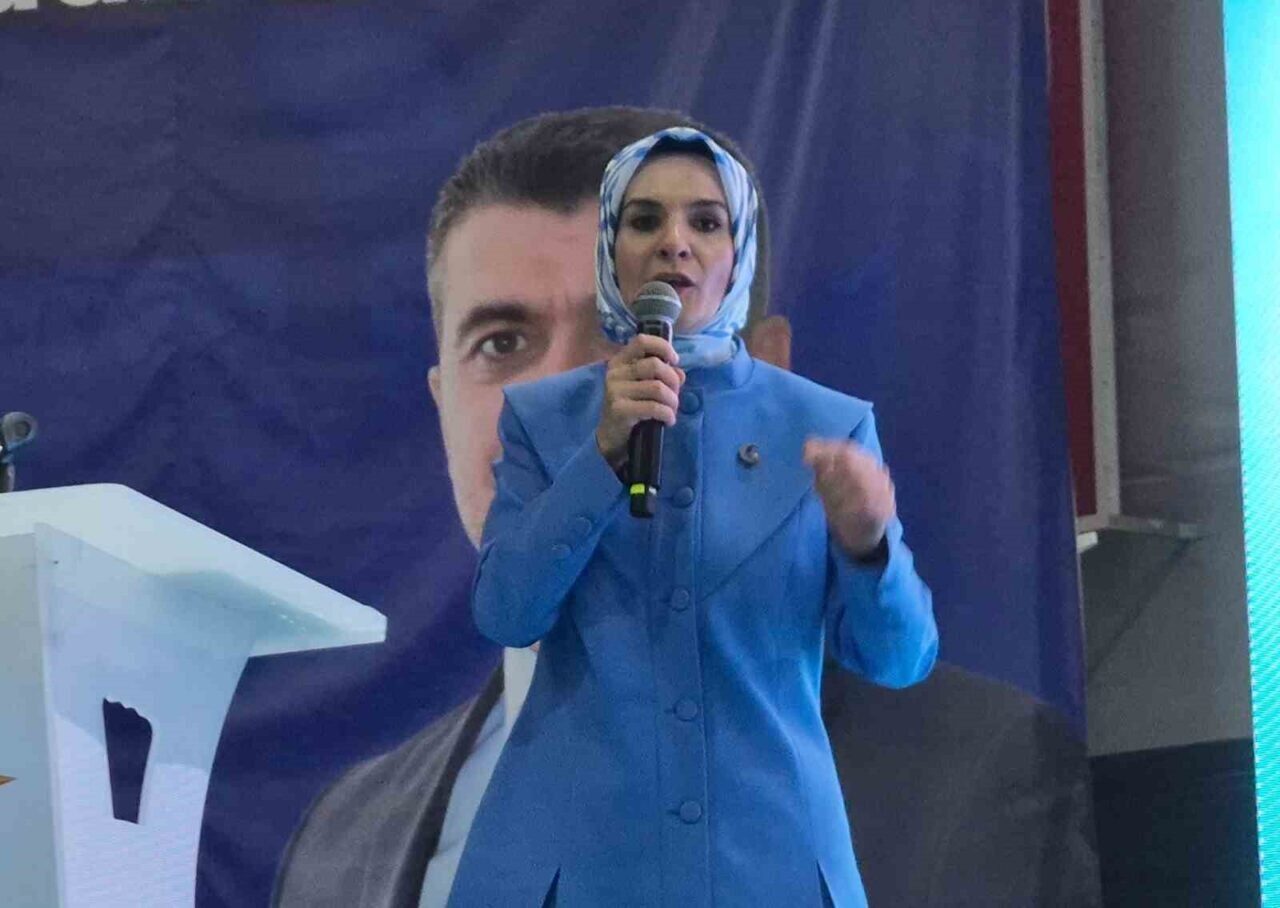 Aile ve Sosyal Hizmetler Bakanı Mahinur Özdemir Göktaş, AK Parti