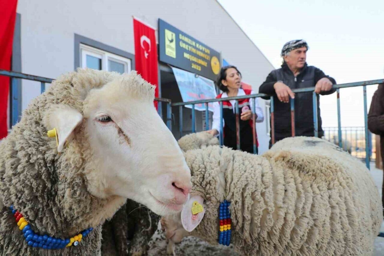 Aliağa Belediyesi ve İzmir İl Tarım ve Orman Müdürlüğü, Çoraklar