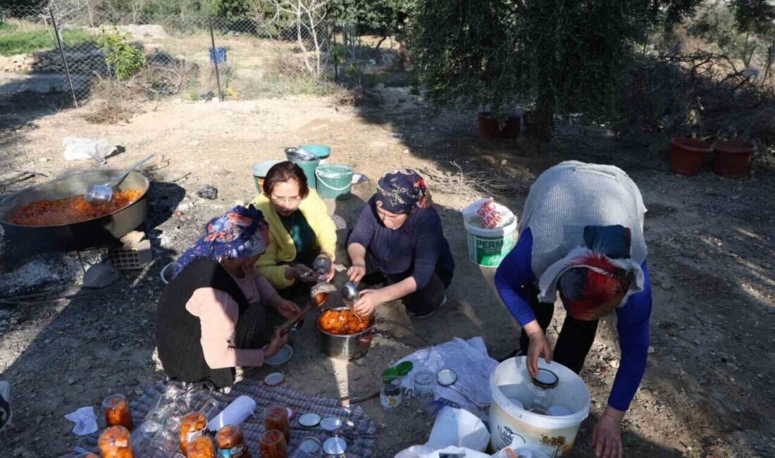 Kozan’da Kadınlar, Bahçede İmece Usulü Kabak Tatlısı Hazırladı Adana'nın Kozan ilçesinde kadınlar, kış aylarında popüler olan kabak tatlısını
