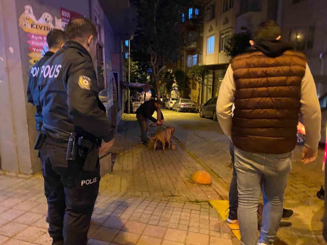 Balıkesir'in Bandırma ilçesinde, tasmasından kurtulan bir pitbull, sokak köpeğine saldırdı.