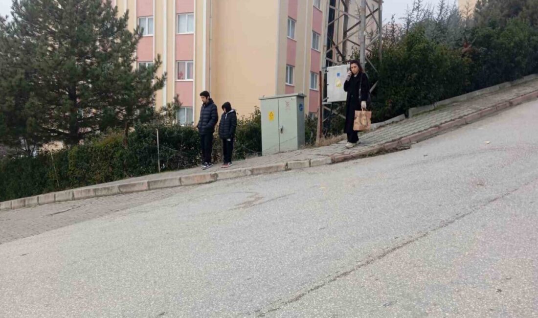 TOKİ Sakinleri Minibüs Seferlerindeki Aksaklıklar Konusunda Şikayetçi Bilecik'in Osmangazi Mahallesi TOKİ konutları sakinleri, minibüs seferlerinin yetersizliğinden şikâyet