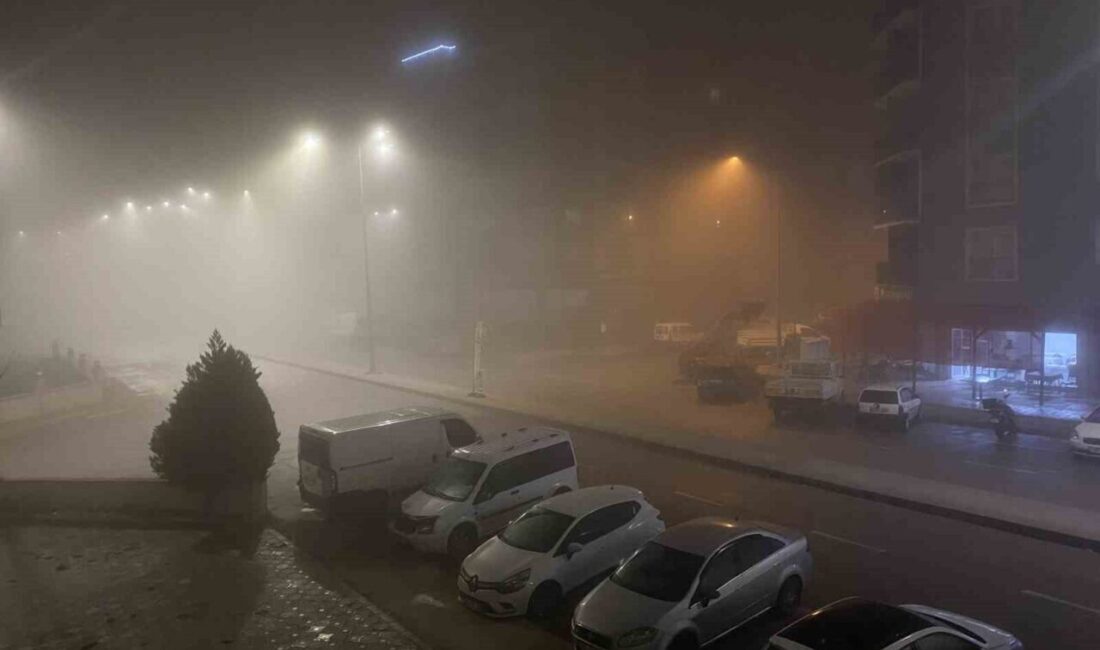 Çanakkale Boğazı’nda Yoğun Sis Nedeniyle Gemi Geçişleri Durduruldu Çanakkale Boğazı, yoğun sis yüzünden 06.17 itibarıyla gemi geçişlerine kapatıldı.