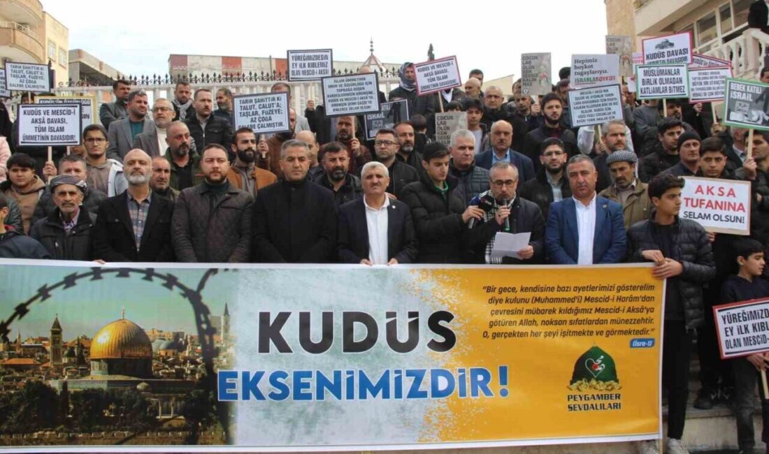 Cizre’de STK’lar, Dünya Kudüs Haftası’nda Kudüs ve Gazze için basın açıklaması yaptı Cizre'de sivil toplum kuruluşları, Dünya Kudüs Haftası kapsamında Hz. Nuh