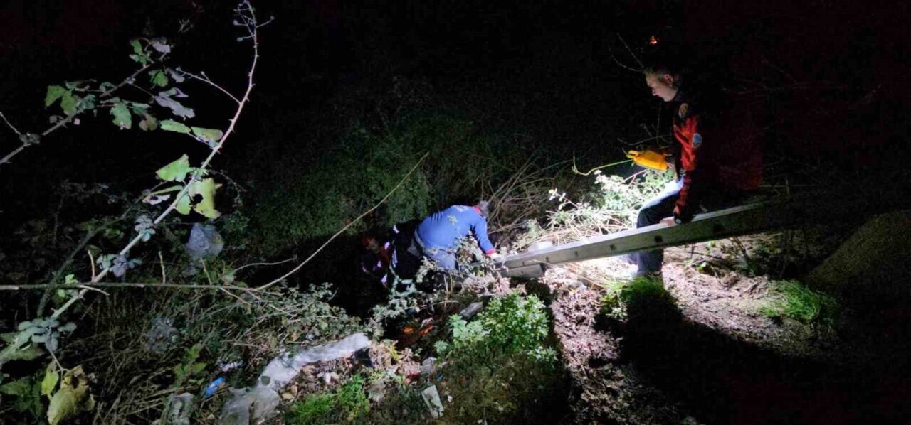 Sakarya'nın Sapanca ilçesinde, E.C. (49) yürüyüşe çıktığı sırada dengesini kaybedip