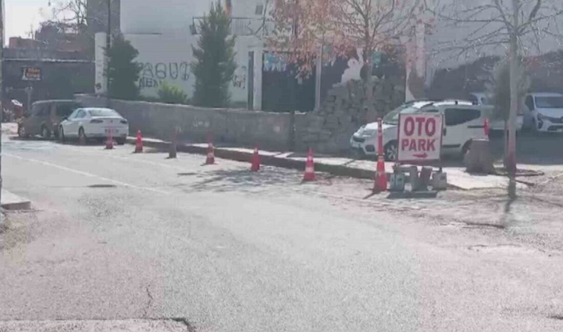 Sur ilçesinde değnekçiler, tarihi alanları duba ile işgal ediyor! Diyarbakır’ın Sur ilçesinde, tarihi bölgelerde değnekçiler duba atarak park yeri