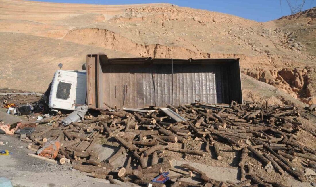 Cizre’de Freni Boşalan Kamyon Şarampole Devrildi: İki Yaralı Cizre'de freni boşalan odun yüklü kamyon şarampole devrildi. Sürücü Mehmet