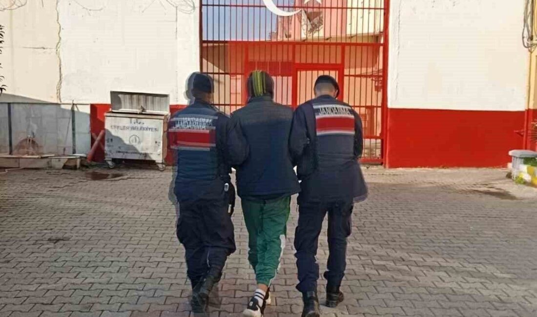 Germencik’te Hapis Cezası ile Aranan A.G. Jandarma Tarafından Yakalandı Aydın'ın Germencik ilçesinde, "Açıkta Bırakılan Eşya Hakkında Hırsızlık" suçuyla aranan