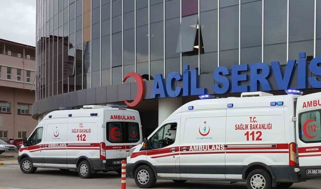 Erzincan’da Karbonmonoksit Gazından Zehirlenen Anne Hastanede Hayatını Kaybetti Erzincan’ın Cumhuriyet Mahallesi'nde sobadan sızan karbonmonoksit gazından etkilenen Suna Güler,