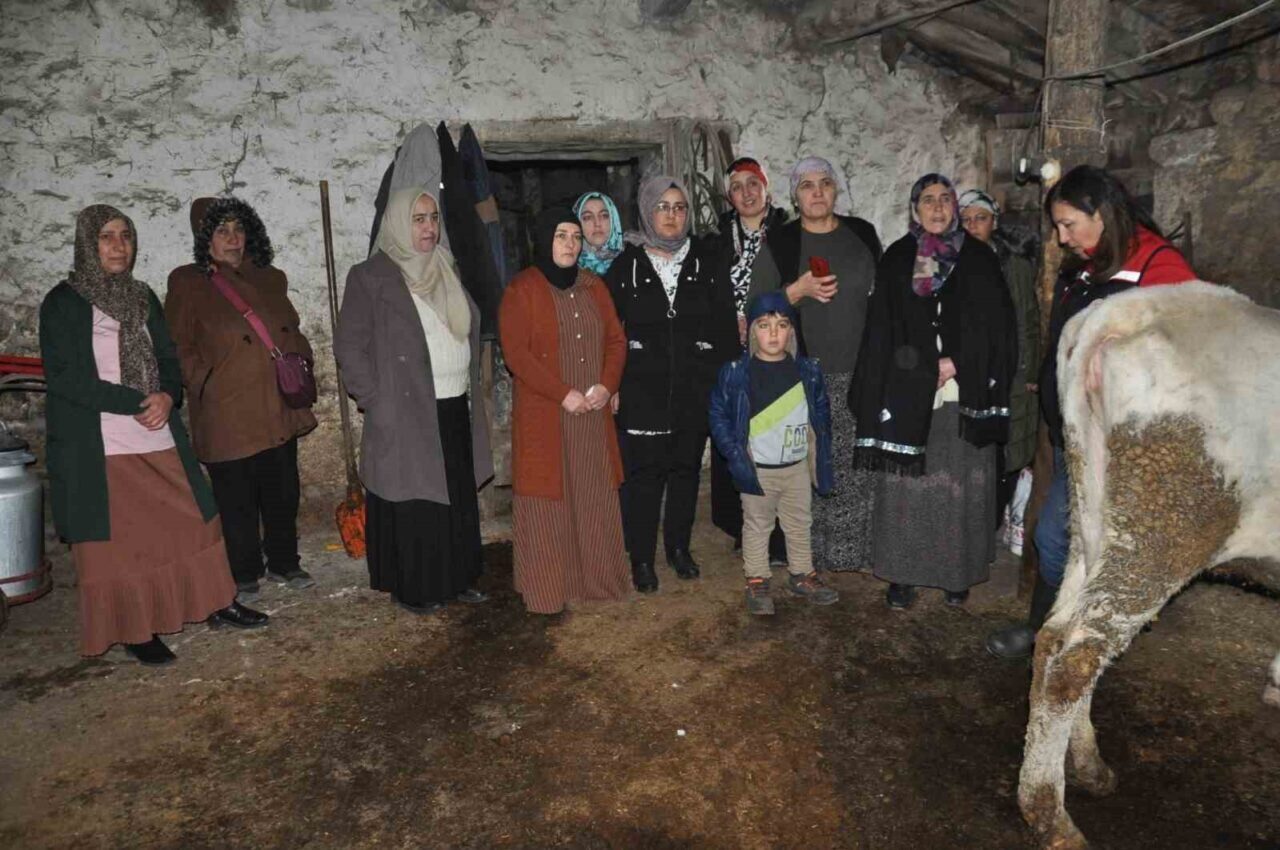 Kars'ta düzenlenen "Süt Sığırcılığında Sağım Hijyeni ve Sanitasyon" kursuna 26