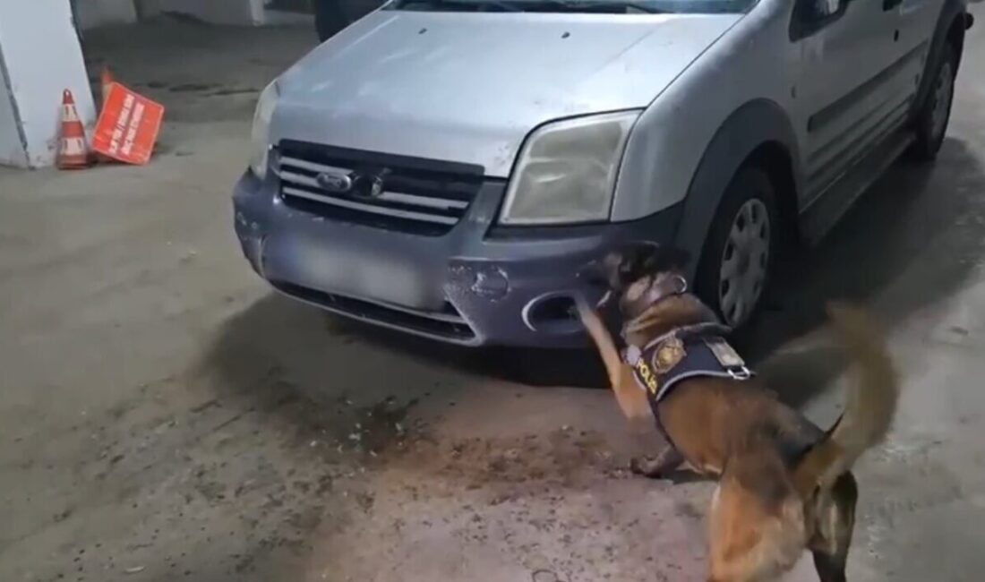 Kars’ta narkotik köpeği Şila, otomobilde gizlenmiş uyuşturucuya ulaştı Kars'ta narkotik ekiplerinin düzenlediği operasyonda, otomobilin motor kısmında saklanan 104