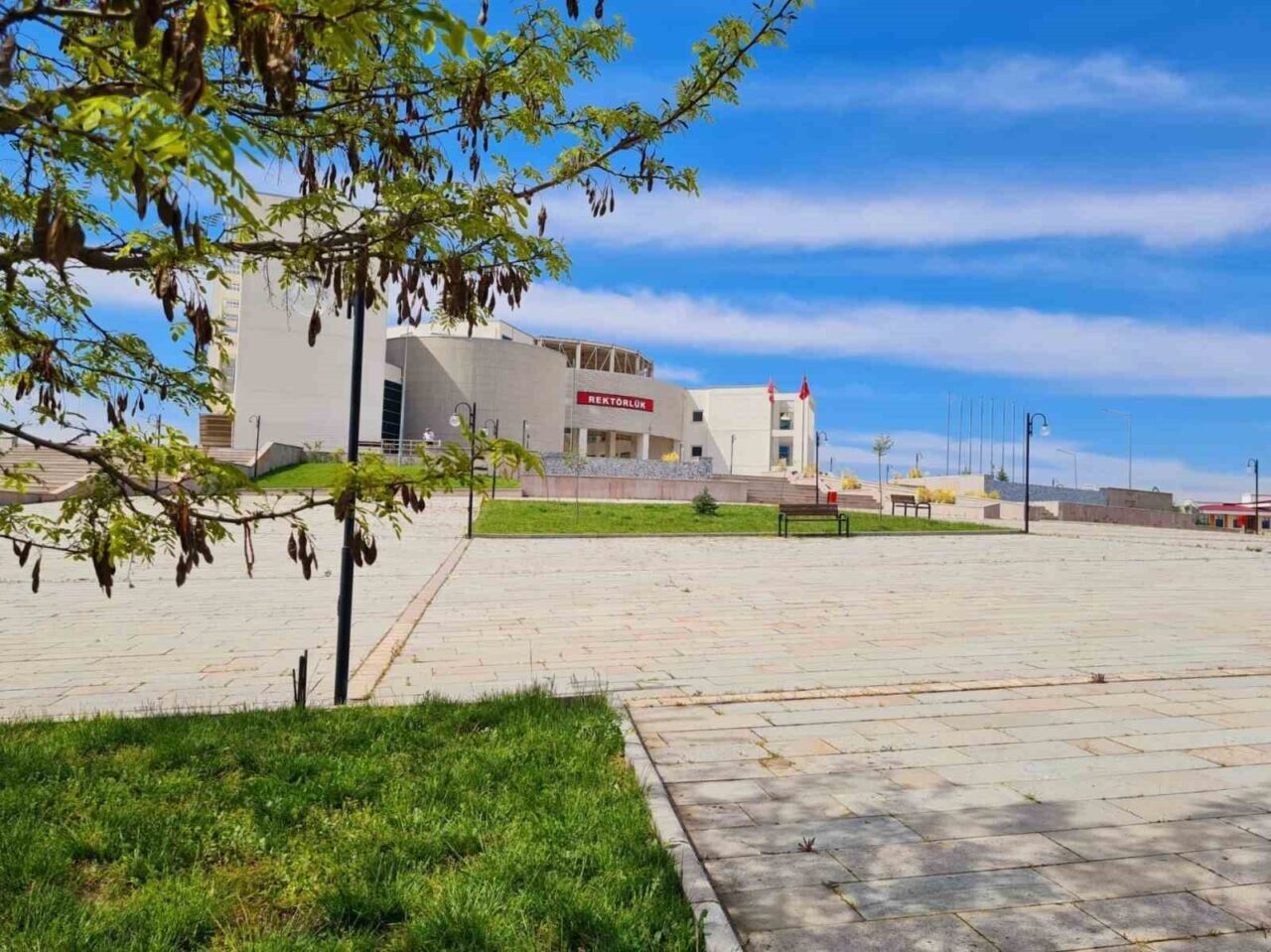 Kastamonu Üniversitesi, Times Higher Education 2025 Dünya Üniversiteleri Alan Bazlı
