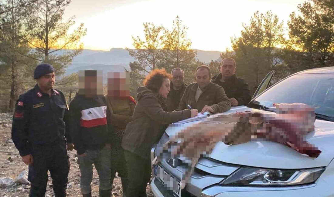Mersin’de Yaban Keçisi Avlayan İki Kişiye 673 Bin 766 TL Ceza Kesildi Mersin'in Mut ilçesinde yaban keçisi avlayan iki kişiye, Doğa Koruma