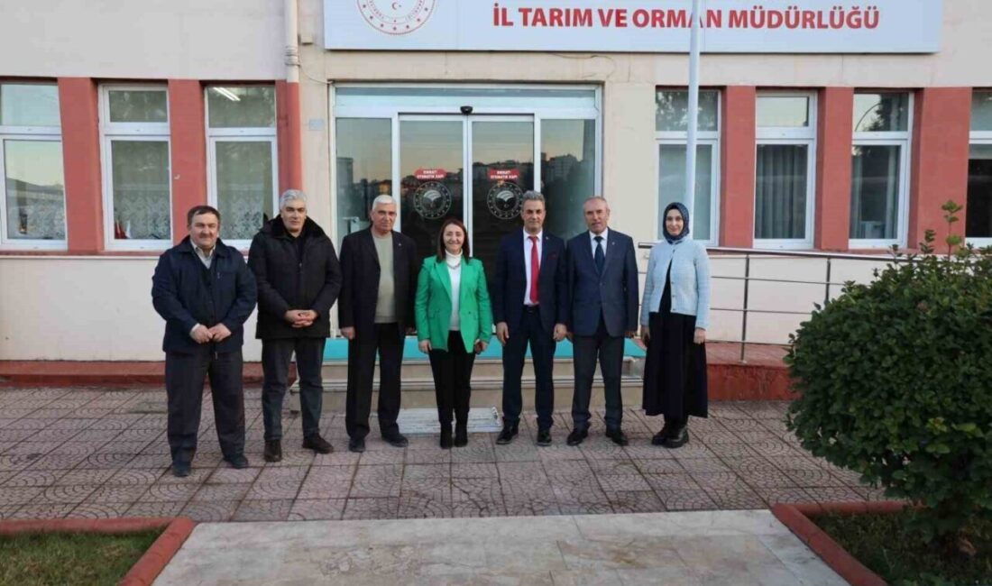 Pazaryeri’nde Tarımsal Faaliyetler İçin Başkan Tekin ve İl Müdürü Yoldaş Görüşme Gerçekleştirdi Pazaryeri Belediye Başkanı Zekiye Tekin, Tarım ve Orman İl Müdürü