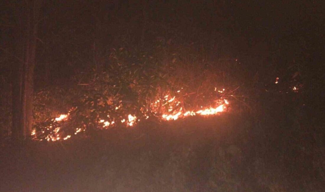 Pazar’daki Ormanlık Alanda Sıçrayan Yangın İçin Müdahale Çalışmaları Sürüyor Rize'nin Pazar ilçesinde Irmak köyü yakınlarındaki ormanlık alanda öğle saatlerinde