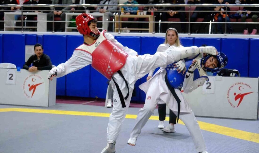 Ankara'daki Türkiye Gençler Taekwondo Şampiyonası, 15-19 Ocak tarihleri arasında Taha