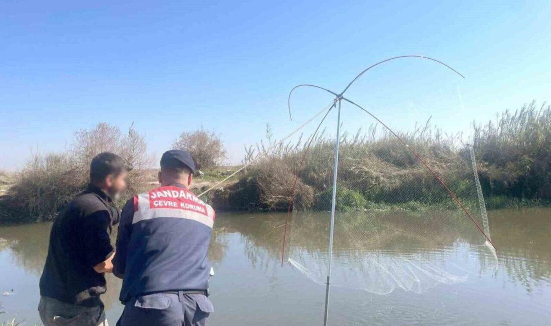 Mersin’de kaçak avlanan 3 kişiye 14 bin TL ceza uygulandı Mersin'de İl Jandarma Komutanlığı Çevre, Doğa ve Hayvanları Koruma Timi,