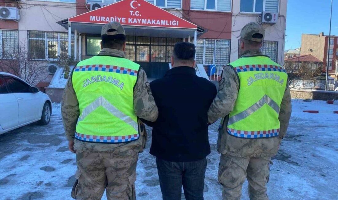 Van'ın Muradiye ilçesinde jandarma, bir otomobildeki aramada 10 düzensiz göçmeni