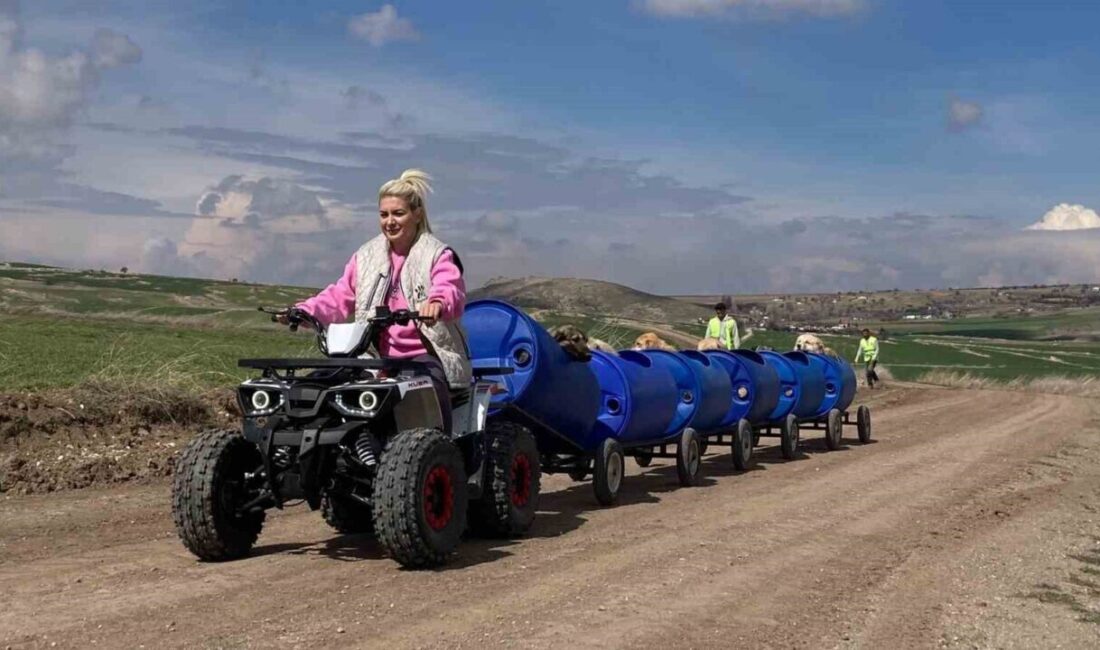 Ankara Cumhuriyet Başsavcılığı, Yaşama Tutunan Patiler Derneği'nin yöneticilerinin 18 milyon
