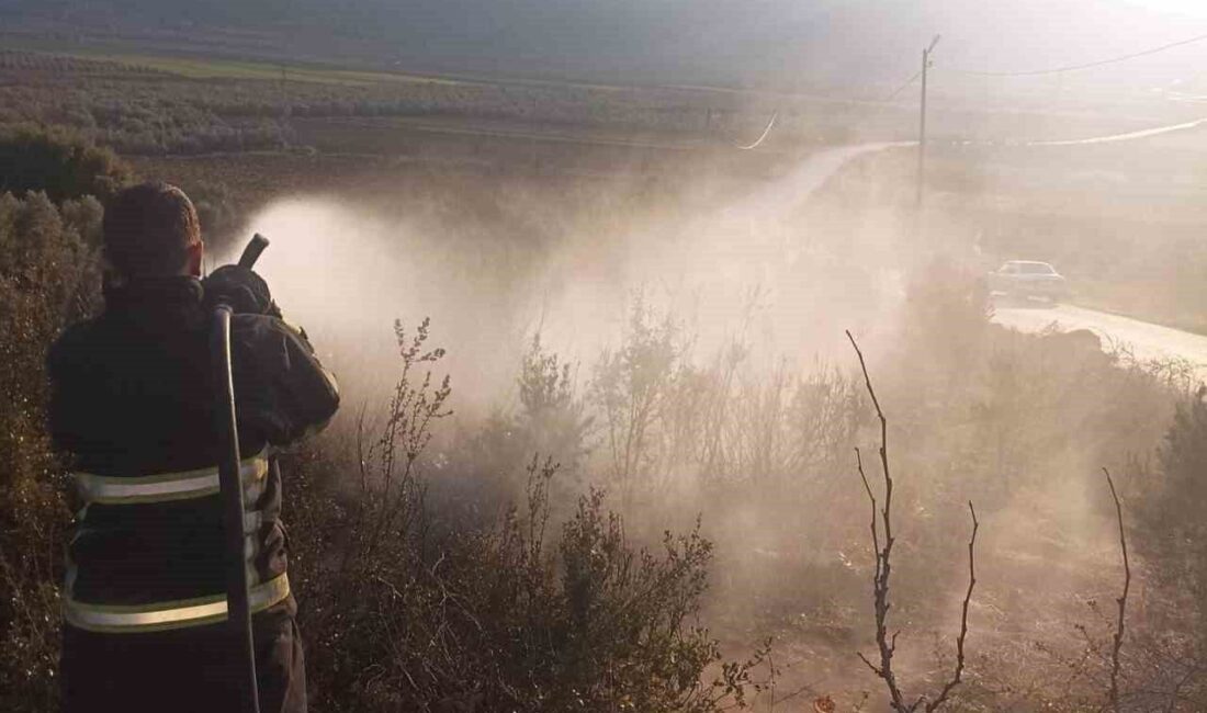 Yayladağı’ndaki Zeytinlikteki Yangın, İtfaiye Ekibi Tarafından Kontrol Altına Alındı Hatay'ın Yayladağı ilçesinde, Karaköse Mahallesi'ndeki zeytinlik alanda çıkan yangın, itfaiye