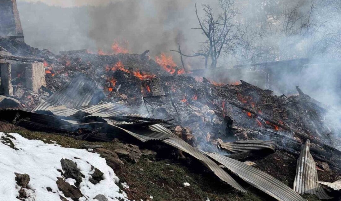 Kastamonu'nun Taşköprü ilçesindeki yangında, Ömer ve Orhan Tekeci'ye ait 2