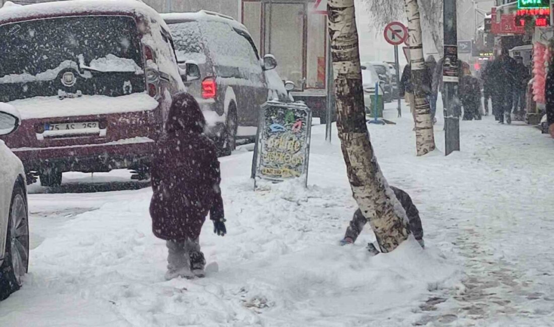 Ardahan’da Kar Sebebiyle Okullar 1 Gün Tatil Edildi Ardahan Valiliği, 20 Şubat Perşembe günü bölgedeki yoğun kar yağışı