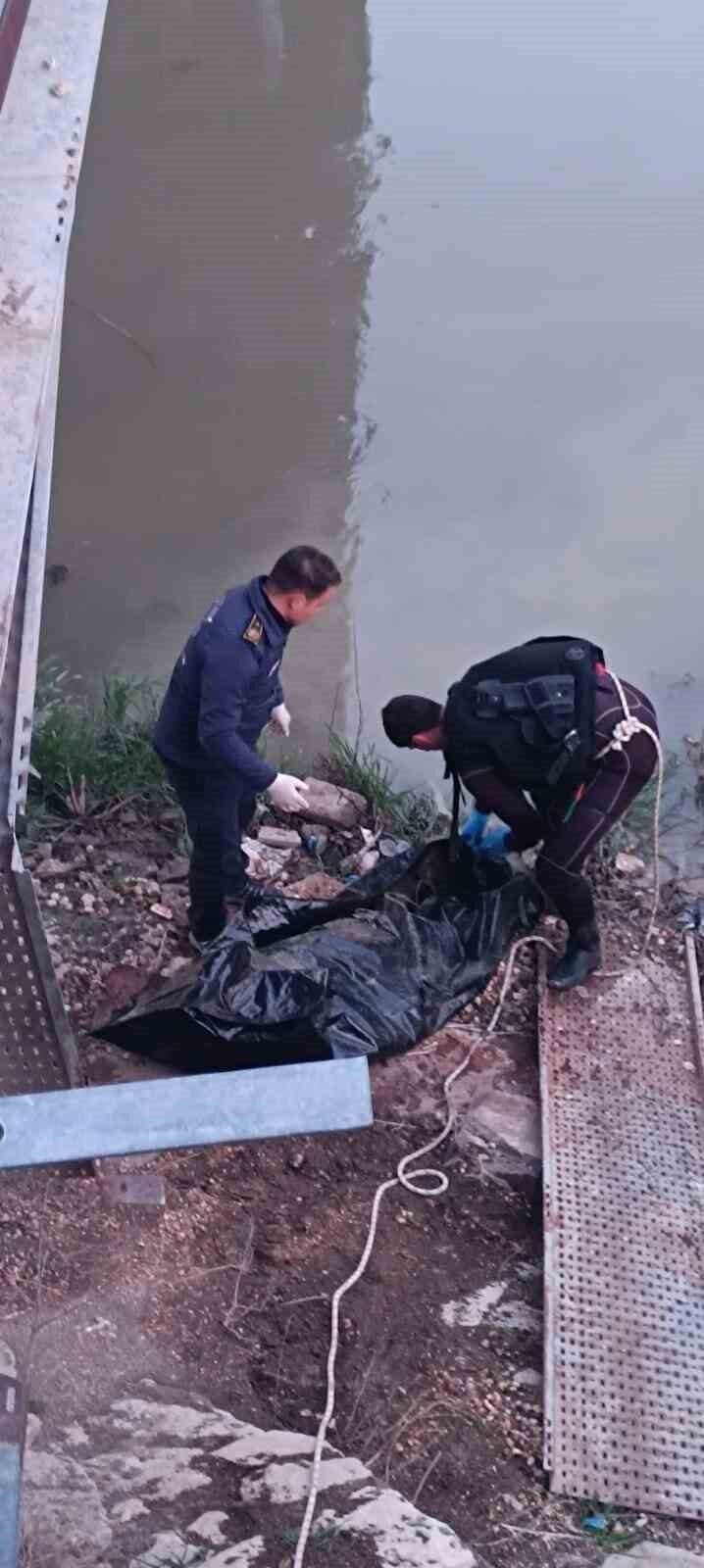 Hatay'ın Antakya ilçesinde Asi Nehri'nde bir erkek cesedi bulundu. Atatürk