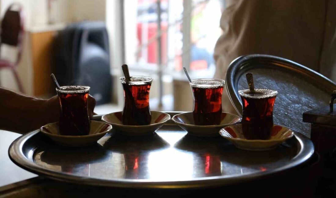 Aydın’da Çaya Yeniden Zam Gelerek Fiyatlar Artış Gösterdi! Aydın'ın Efeler ilçesinde çay fiyatları arttı. Çay ocaklarındaki fiyat 9