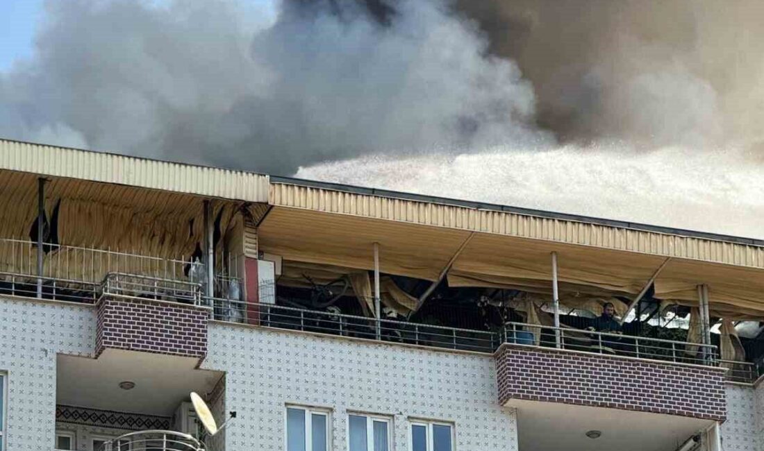 Batman’da 10 Katlı Binanın Çatı Katında Meydana Gelen Yangın, İki Saatlik Mücadelenin Ardından Kontrol Altına Alındı Batman'ın Çamlıca Mahallesi'ndeki 10 katlı bir binanın çatısında çıkan yangın,