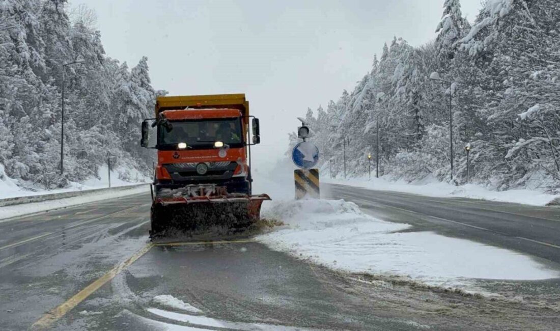 Bolu Dağı'nda D-100 karayolu üzerinde dört gündür etkili olan kar
