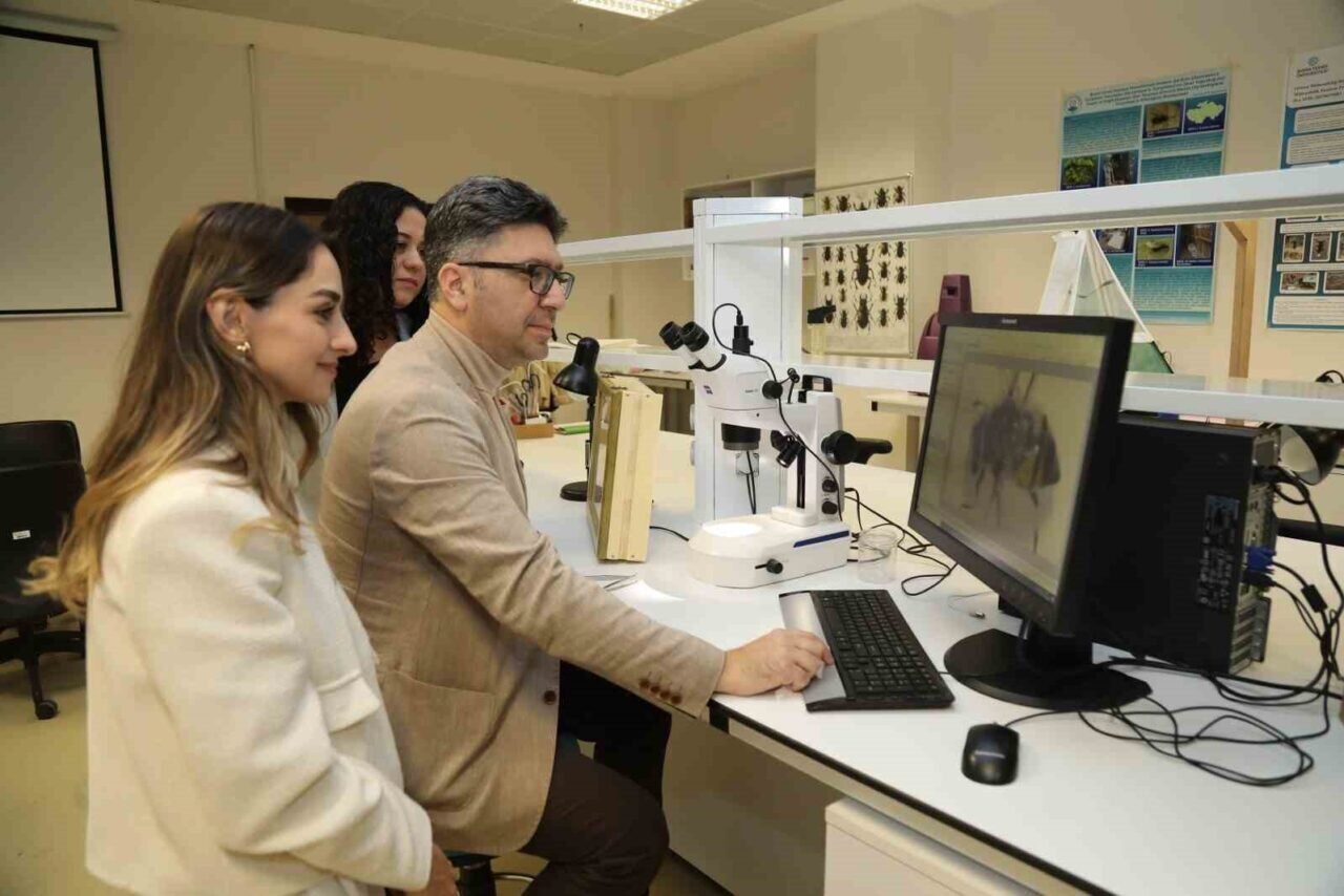 Bursa Teknik Üniversitesi, Uludağ ormanlarında Hymenoptera türlerinin çeşitliliğini belirlemek için