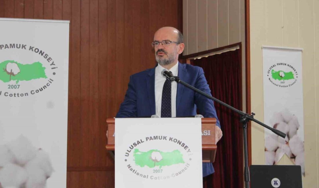 Aydın'daki pamuk üreticileri 2025 yılı için destekleme fiyatlarını öğrenerek rahatladı.