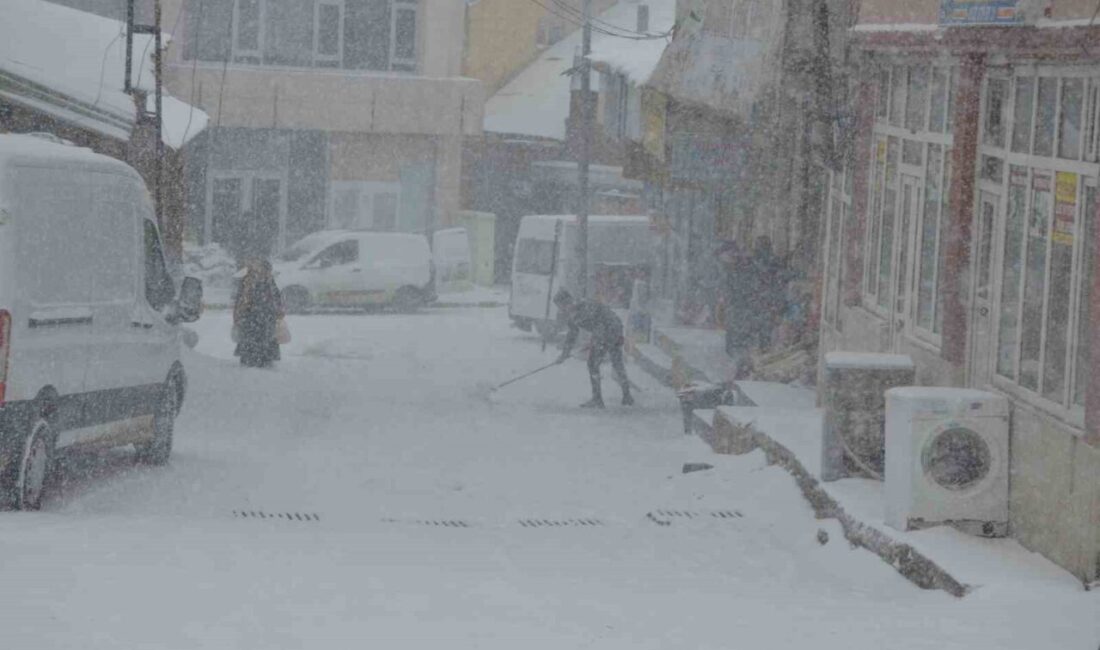 Muş’ta Şiddetli Kar Yağışı Nedeniyle 48 Köy Yolu Kapandı Muş'un Bulanık ilçesinde etkili olan yoğun kar yağışı nedeniyle 48