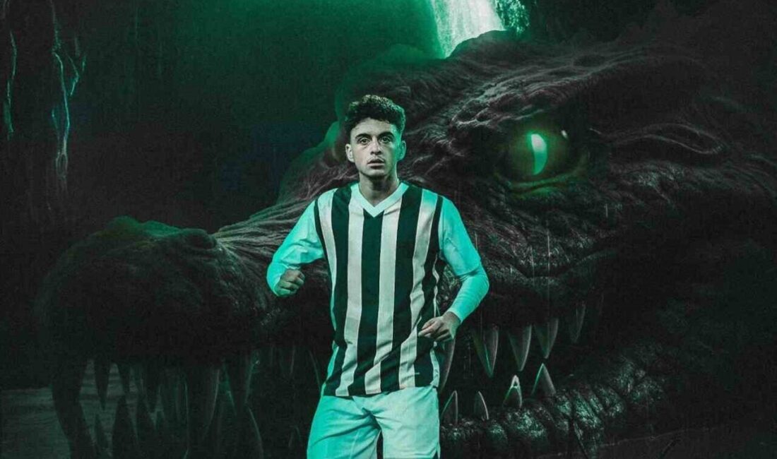 Bursaspor, Fenerbahçe’den Muhammet Zeki Dursun’u kadrosuna kattığını duyurdu. Bursaspor, Fenerbahçe'den 18 yaşındaki futbolcu Muhammet Zeki Dursun ile anlaştığını