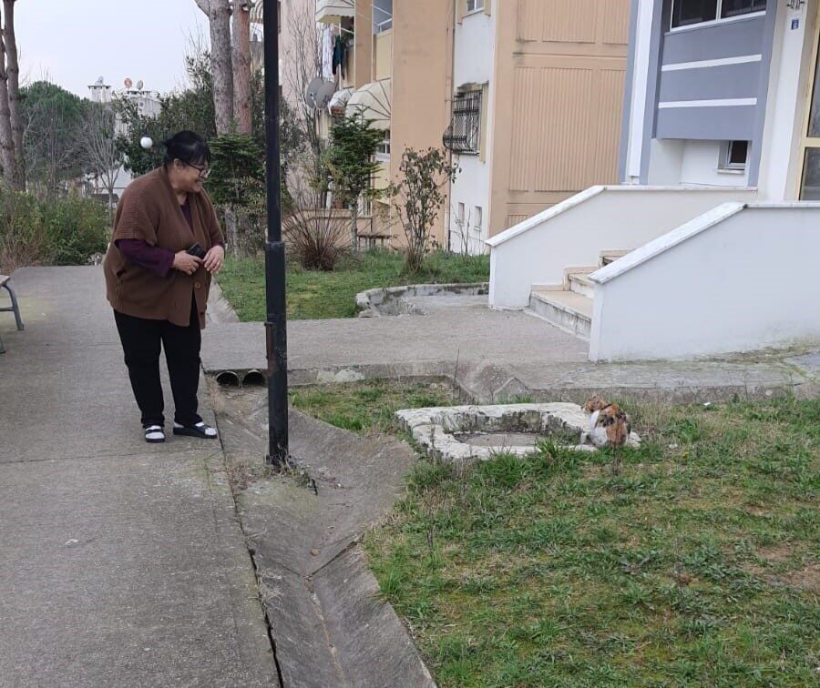 Kocaeli'nin İzmit ilçesinde 10 gündür çatıda kalan bir kedi, AKUT
