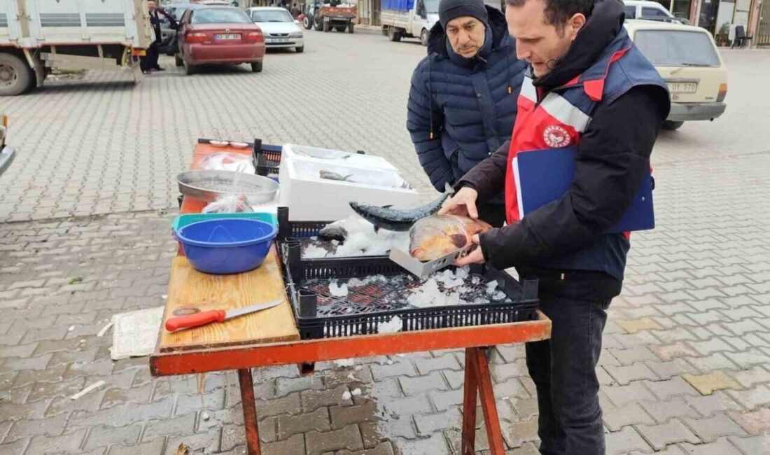 Kütahya’da Balık Satış Yerlerinde Sağlık ve Hijyen Denetimi Yapıldı Kütahya'nın Çavdarhisar İlçe Tarım ve Orman Müdürlüğü, vatandaşların sağlıklı gıda
