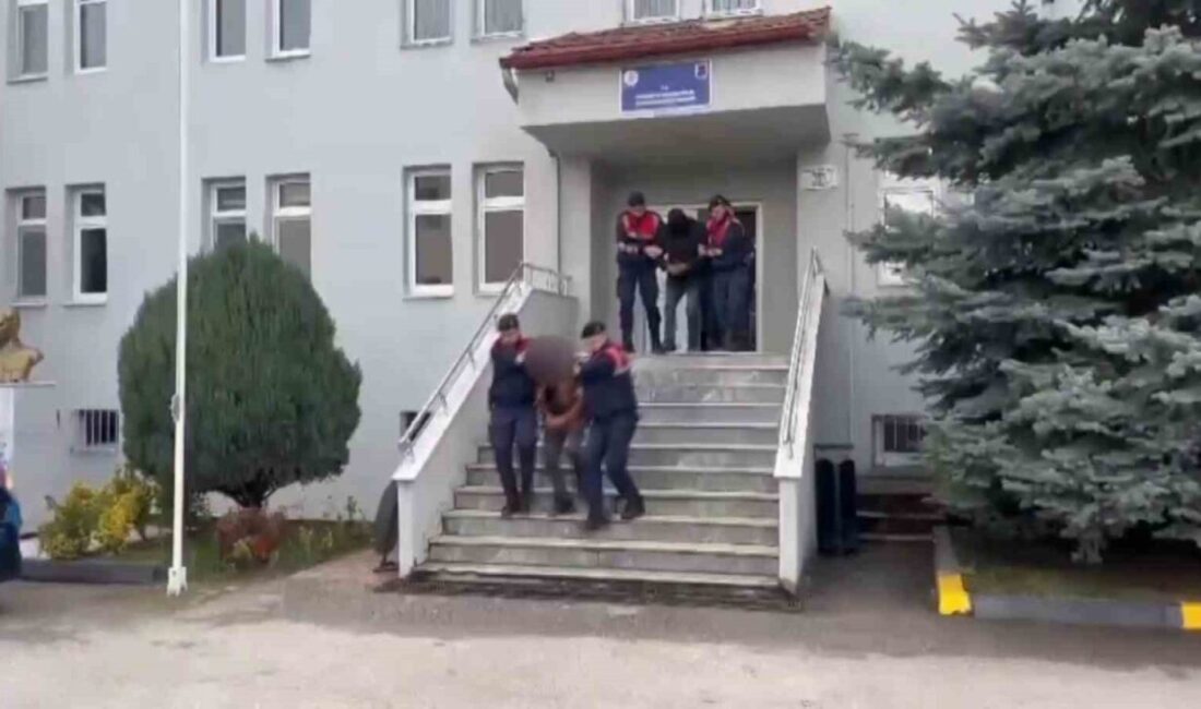 Sakarya’da Hayvan Hırsızlığı Operasyonunda 11 Şahıs Tutuklandı Sakarya'nın Karapürçek ve Akyazı ilçelerinde düzenlenen operasyonda 14 hayvan çalan