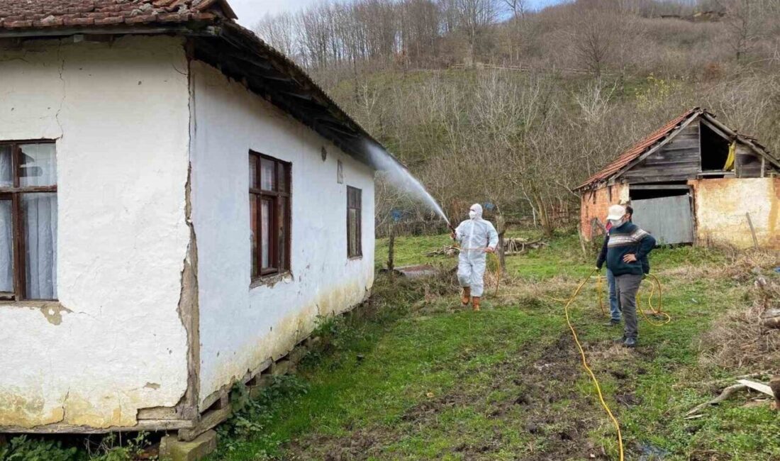 Düzce’de Kahverengi Kokarca’ya Karşı 39 Köyde 7 Bin 850 Yapı İlaçlandı Düzce'de kahverengi kokarca ile mücadele kapsamında Yığılca ilçesinde 39 köyde