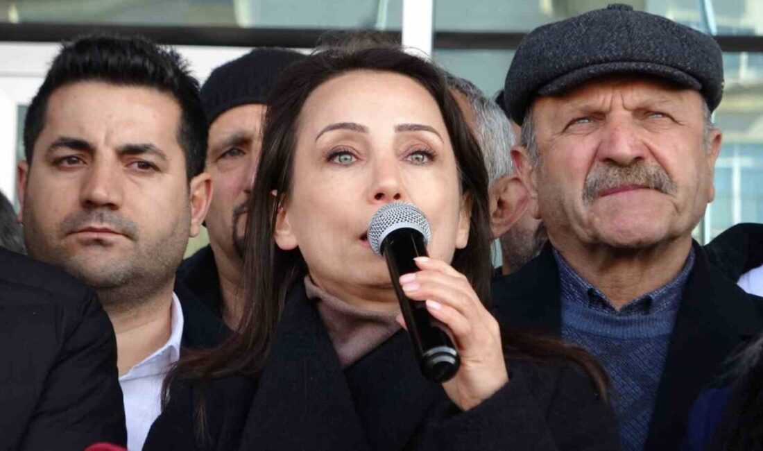 Halkların Eşitlik ve Demokrasi Partisi (DEM Parti) Eş Genel Başkanı