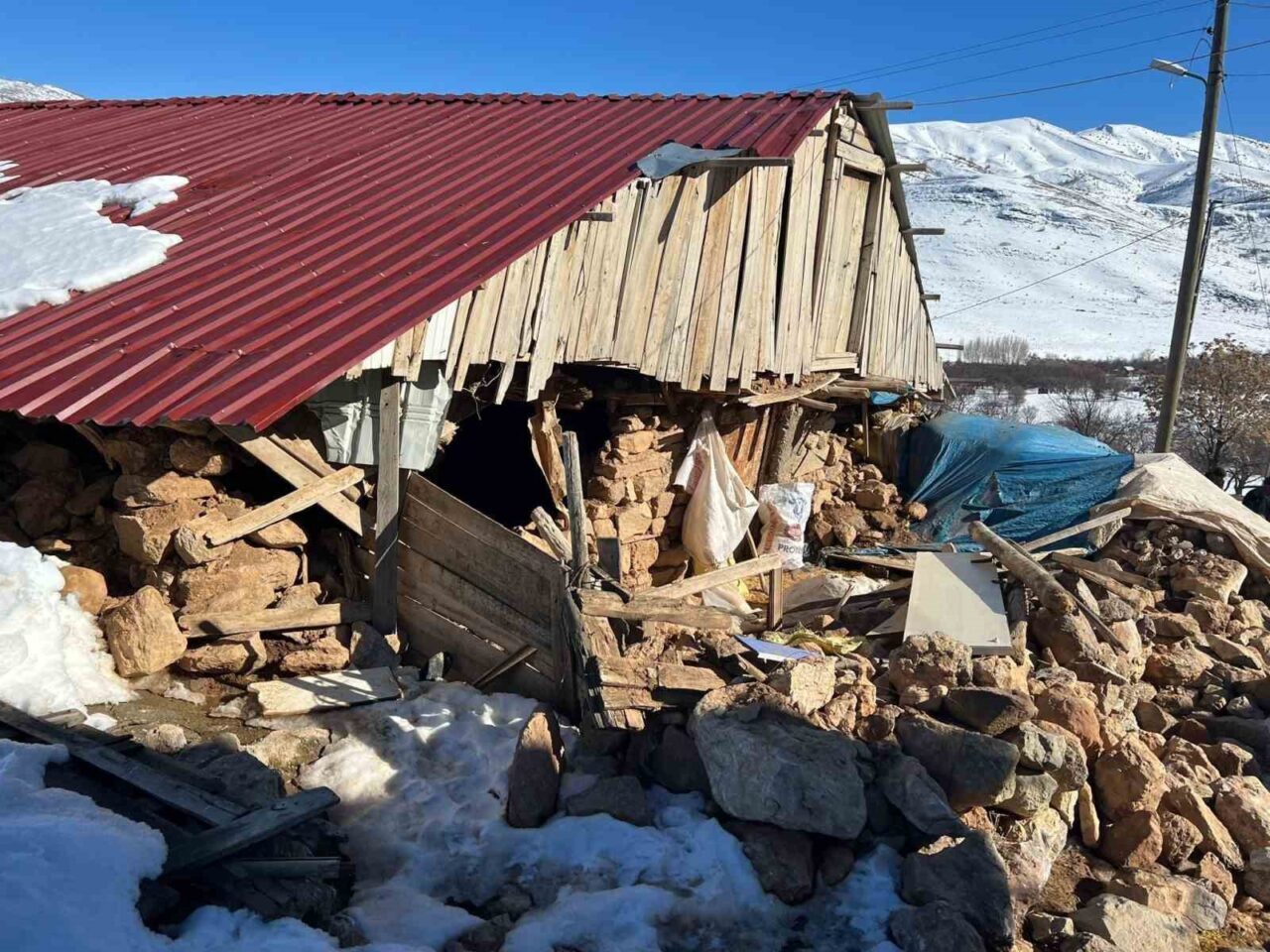 6 Şubat 2023'teki depremlerden etkilenen hayvan yetiştiricilerine, Tarım ve Orman