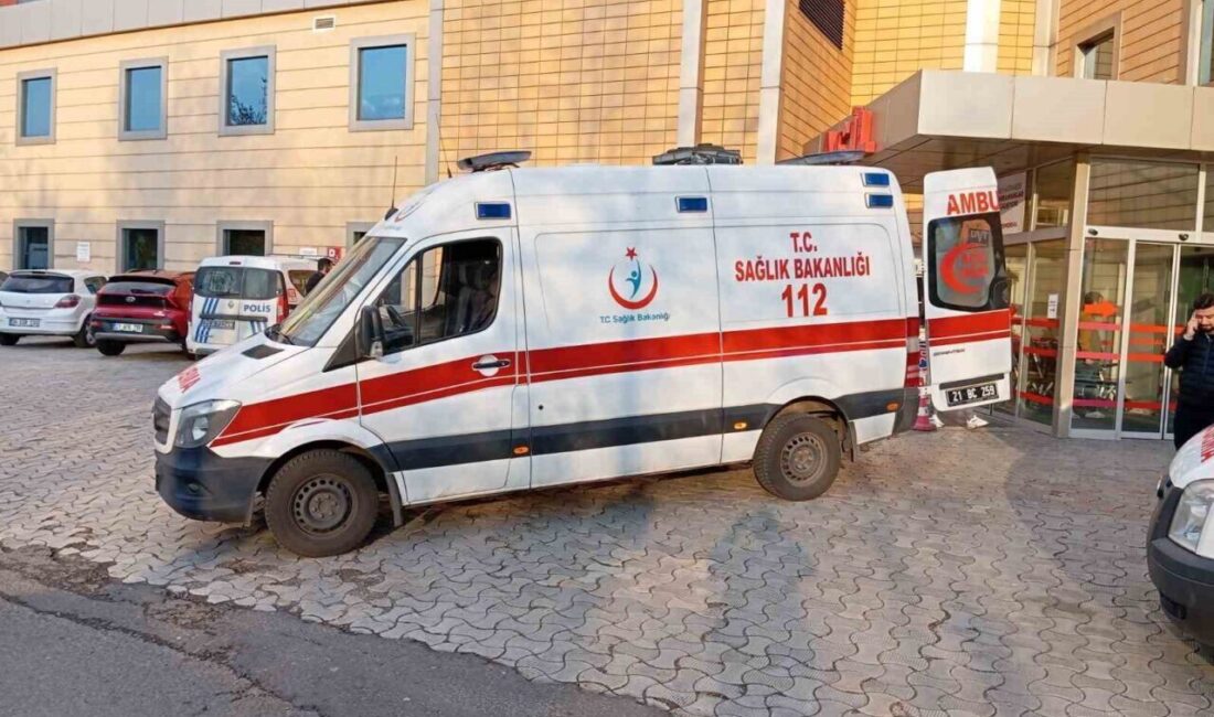 Diyarbakır’da Evinde İntihara Kalkışan İki Çocuk Annesi Kadın Ağır Yaralandı Diyarbakır’ın Kayapınır ilçesinde, iki çocuk annesi bir kadın intihar girişiminde
