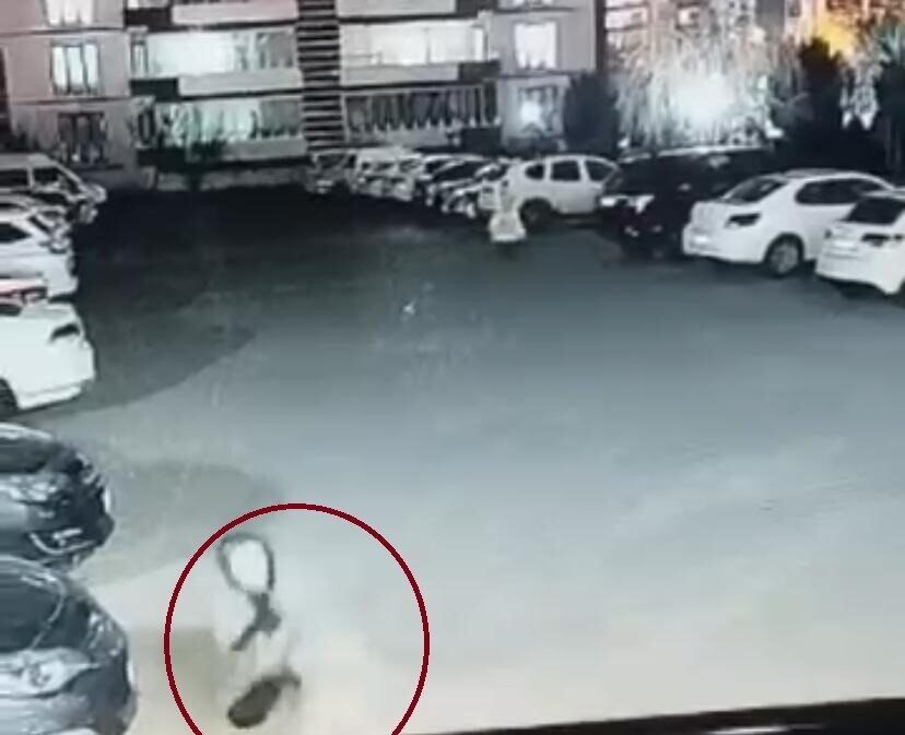 Diyarbakır'ın Kayapınar ilçesinde başıboş bir köpek, bir çocuğa saldırdı. Anne