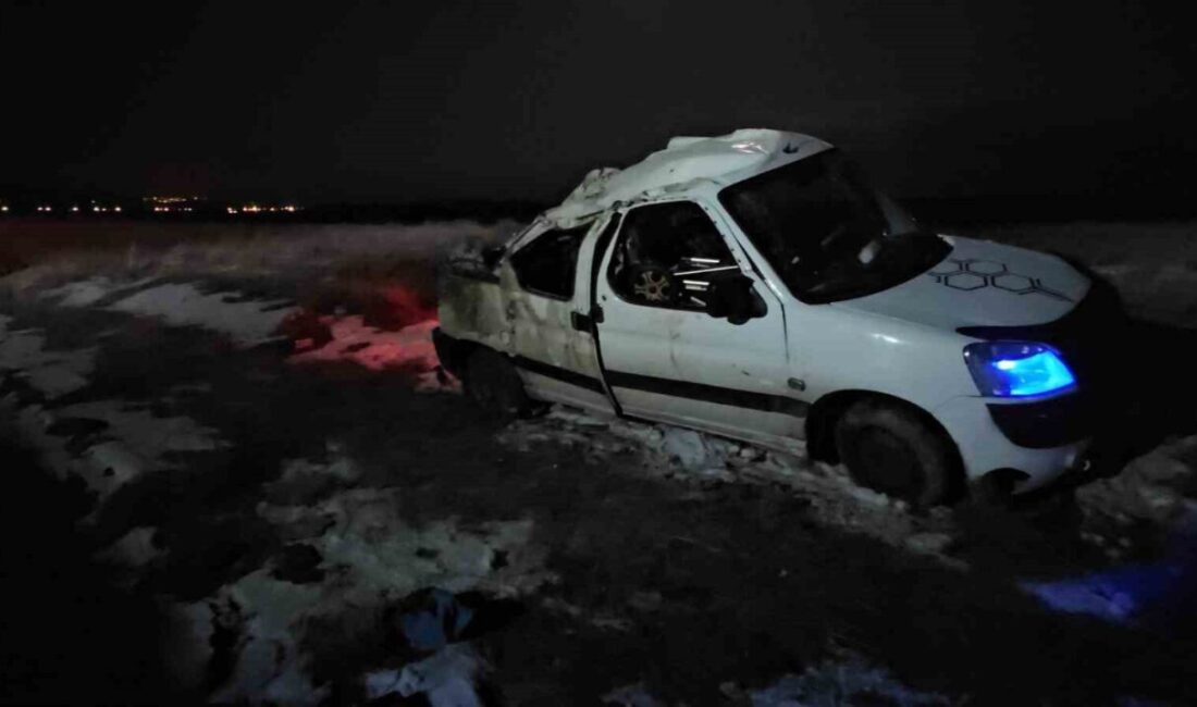 Bitlis’in Adilcevaz ilçesinde A.T.'nin kullandığı kamyonet, aniden yola çıkan domuz