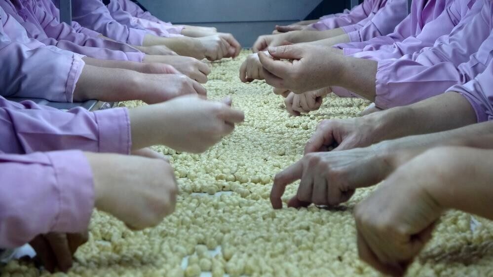 Düzce’den Ocak Ayında Avrupa’ya 2.416 Ton İç Fındık İhracı Gerçekleşti Düzce'den Ocak ayında Avrupa Birliği ülkelerine 2,416 ton iç fındık