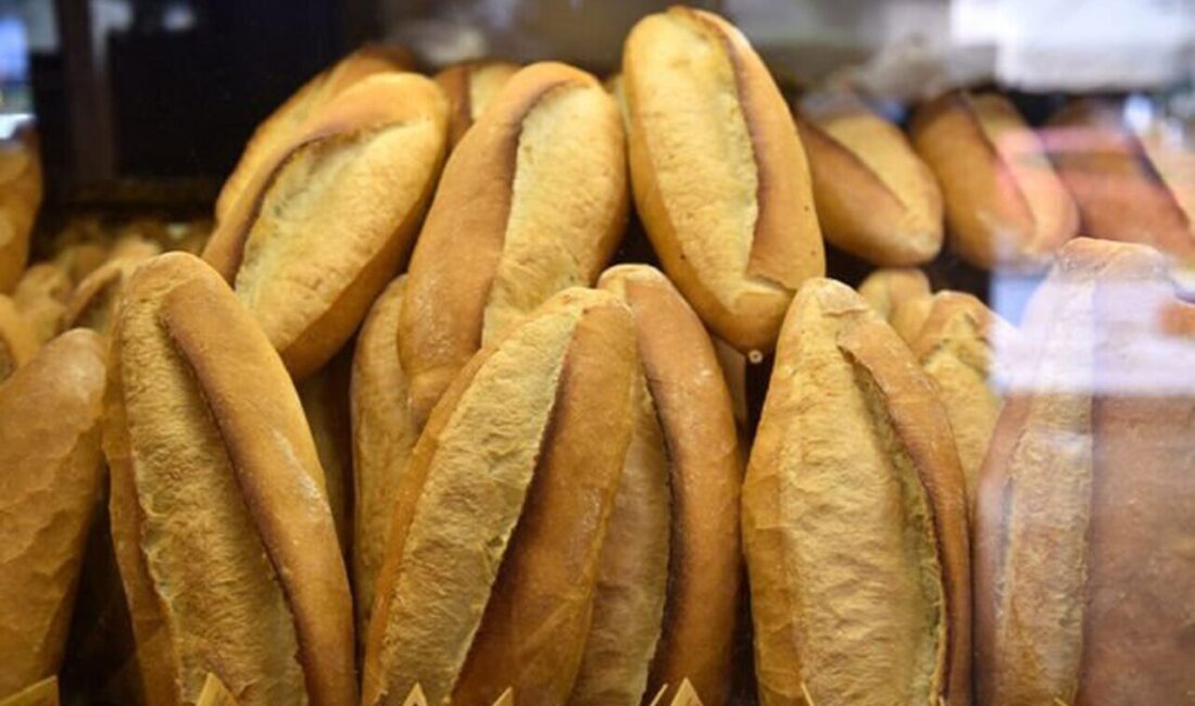 Erzincan’da ekmek fiyatları yükseldi: 210 gram ekmek 12 TL oldu Erzincan Fırıncılar Odası Başkanlığı'nın talebiyle, ekmek fiyatlarına zam yapıldı. 1