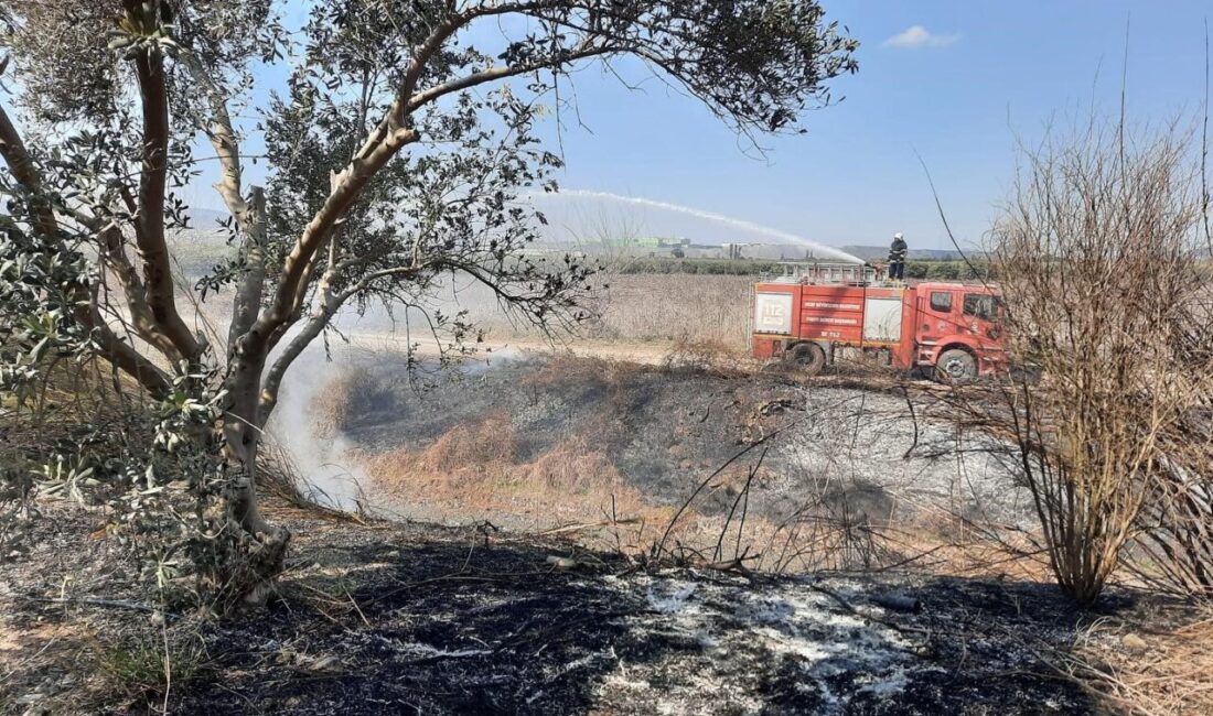 Erzin’de Sazlıkta Çıkan Yangın, Zeytinliklere Sıçramadan Kontrol Altına Alındı Hatay'ın Erzin ilçesindeki Hürriyet Mahallesi'ndeki sazlık alanda çıkan yangın, itfaiye