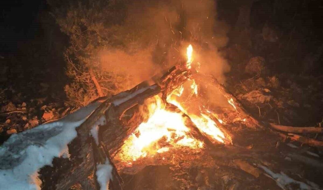 Adana Feke’de Orman Yangını Kontrol Altına Alındı, Sebebi Araştırılıyor Adana’nın Feke ilçesinde Maran Kalegediği mevkiinde meydana gelen orman yangını,