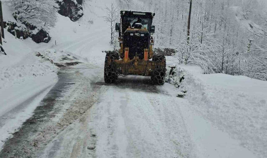 Giresun’da Kar Yağışı 432 Köy Yolunu Ulaşıma Kapattı Giresun'da etkili kar yağışı sonucu 432 köy yolu kapandı. Merkez