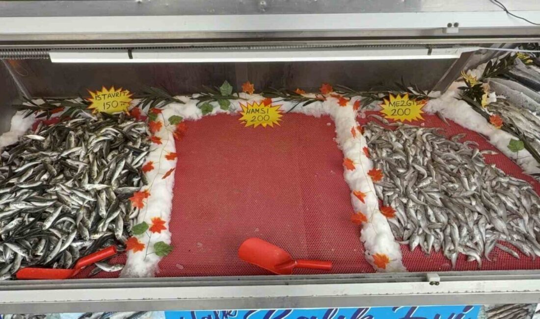 Kar Yağışının Ardından Beklenen Hamsi Fırtınadan Dolayı Tezgahlarda Yer Almadı Batı Karadeniz'de kar yağması sonrası hamsi beklenirken fırtına dolayısıyla tezgahlarda
