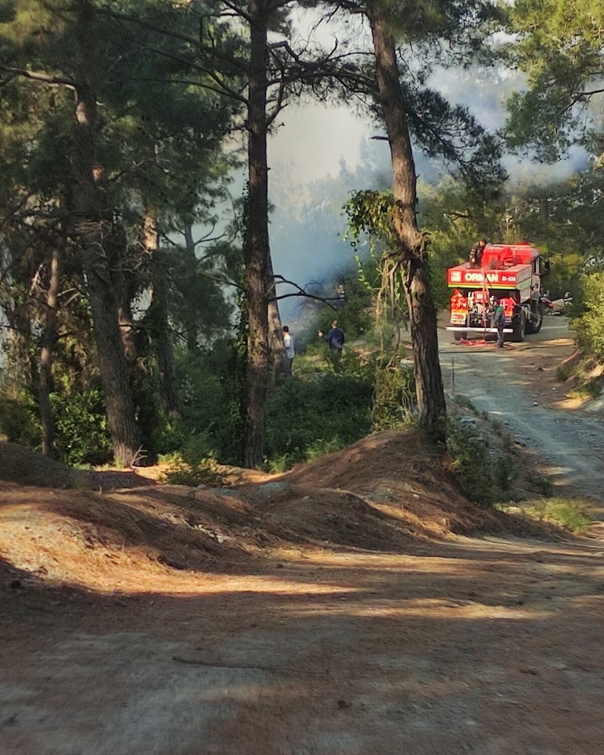 Hatay'ın Payas ilçesinde Sincan Mahallesi'ndeki ormanlık alanda çıkan örtü yangını,